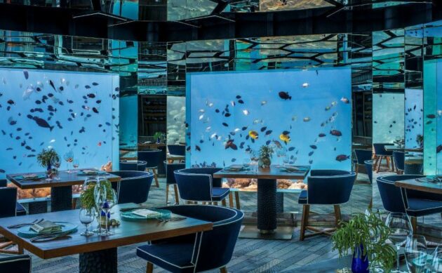 05 Underwater Restaurants in the Maldives & What Guests Say About It 05 Underwater Restaurants in the Maldives & What Guests Say About It