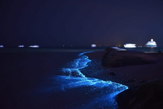 Dhigufaru Maldives Glowing Beaches at Dhigufaru Island Resort in Maldives
