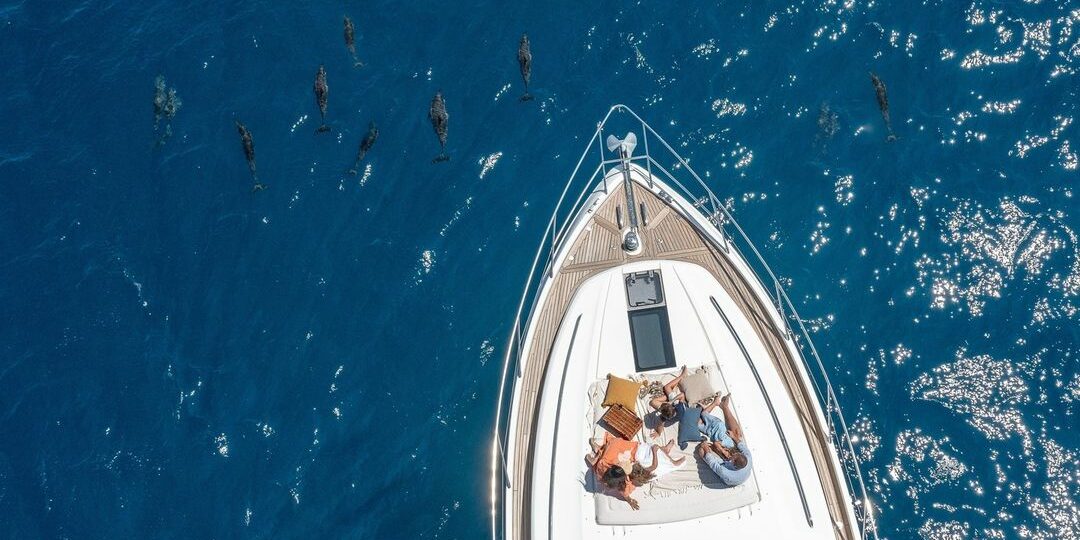 Yacht Yacht Dreams, Nautilus Reality